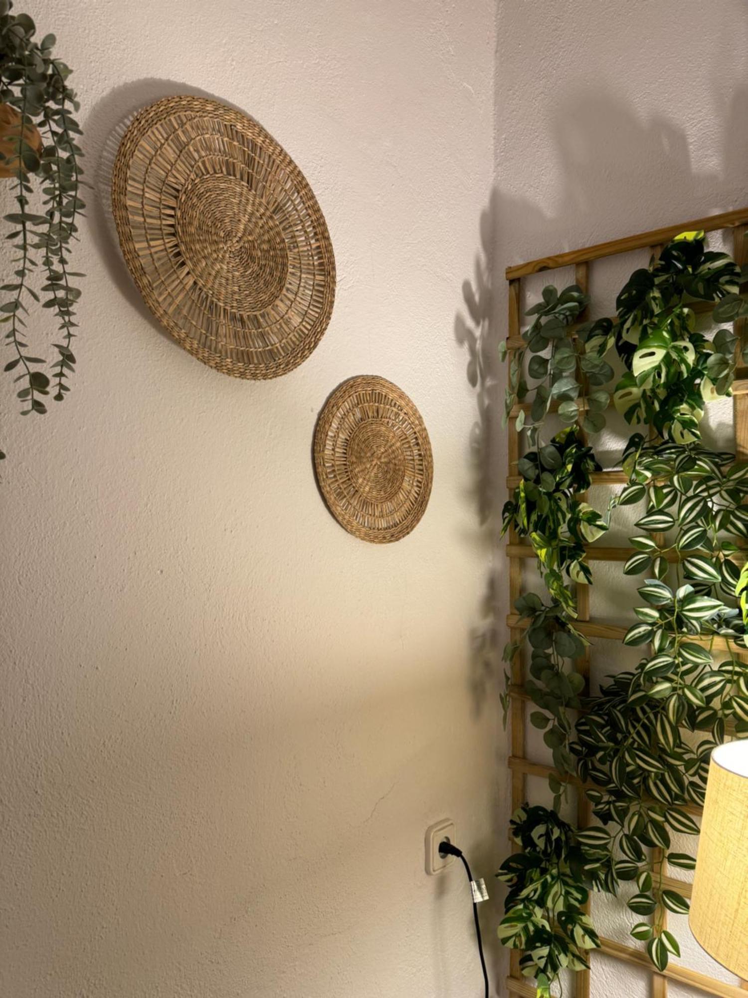 Garden Suites Xativa Casa Rural 外观 照片
